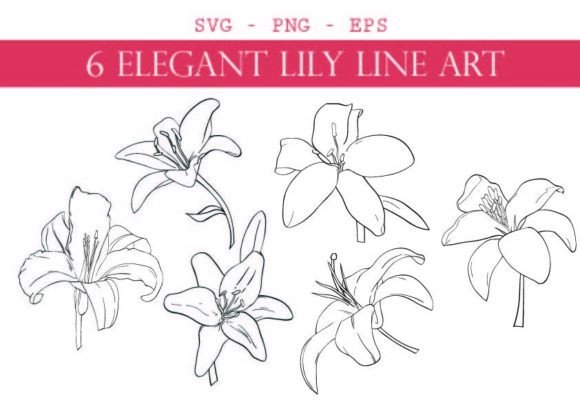 Download Bundel of 6 Elegant Lily Line Art - Elegant Collection